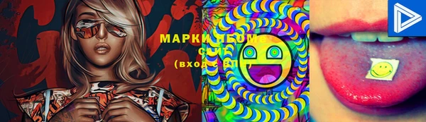 сатива Абинск