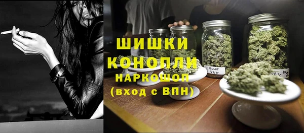 сатива Абинск