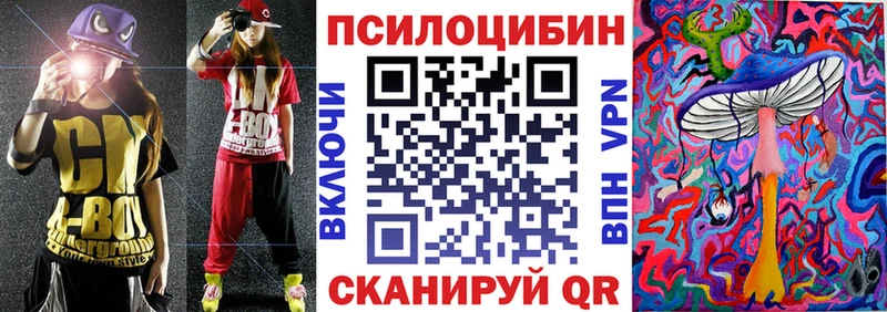 ОМГ ОМГ   Александровск  Галлюциногенные грибы Psilocybe 
